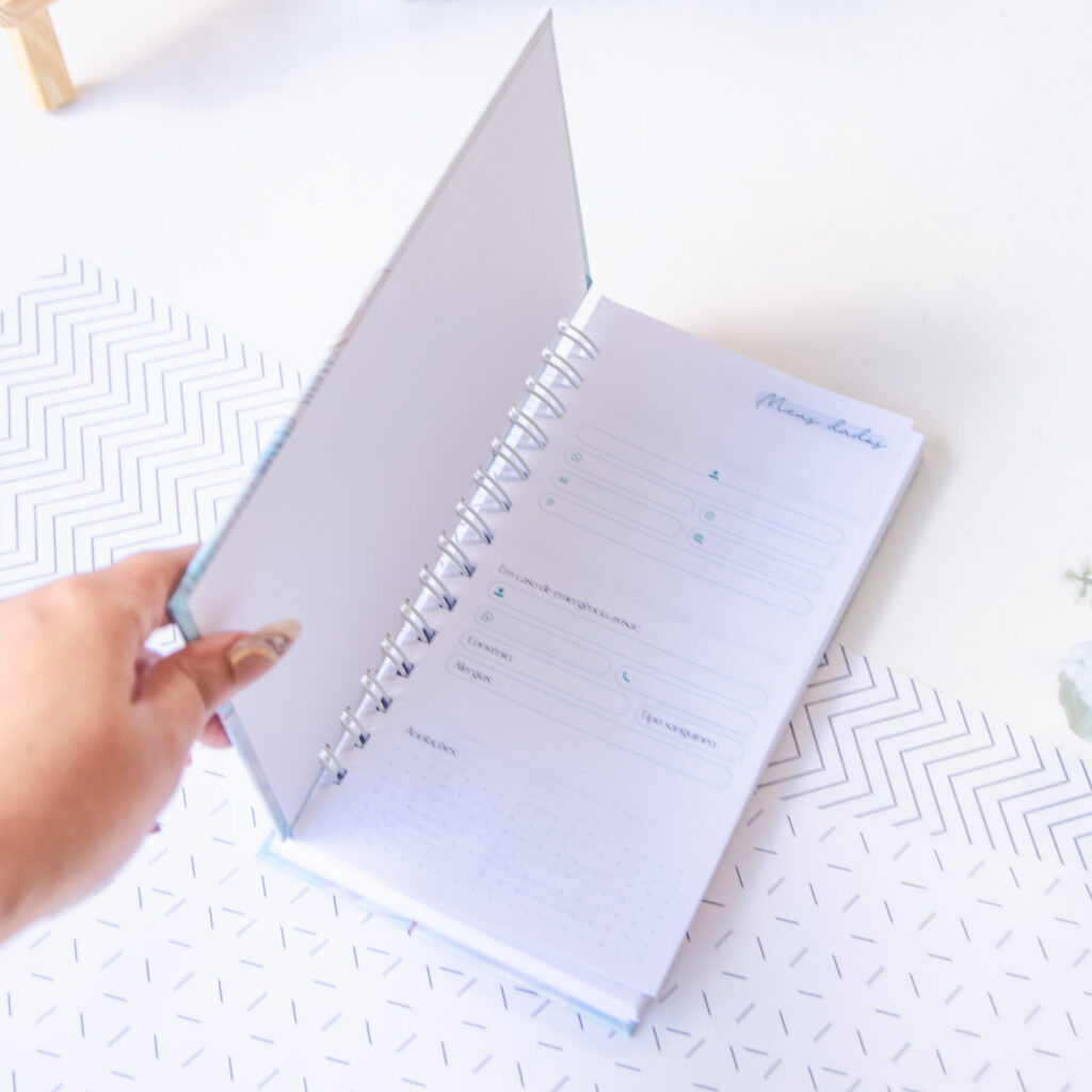 COMBO Agendas Slim Datadas 2025 + Permanente | 56 miolos Col. Vagalume (Amarantto) - Imagem 2