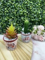 Dia dos Avós 2024 (Madi) - Imagem 2