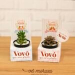 Coletiva Completa - Dia dos Avós 2024 (Vê Moraes) - Imagem 11