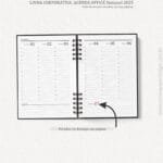 Miolo Agenda Office Semanal 2025 (Carinas Paper)