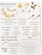 Kit Digital Ilustrações Santa Teresa Dávila | Santinhos (Carina's Paper) - Imagem 11