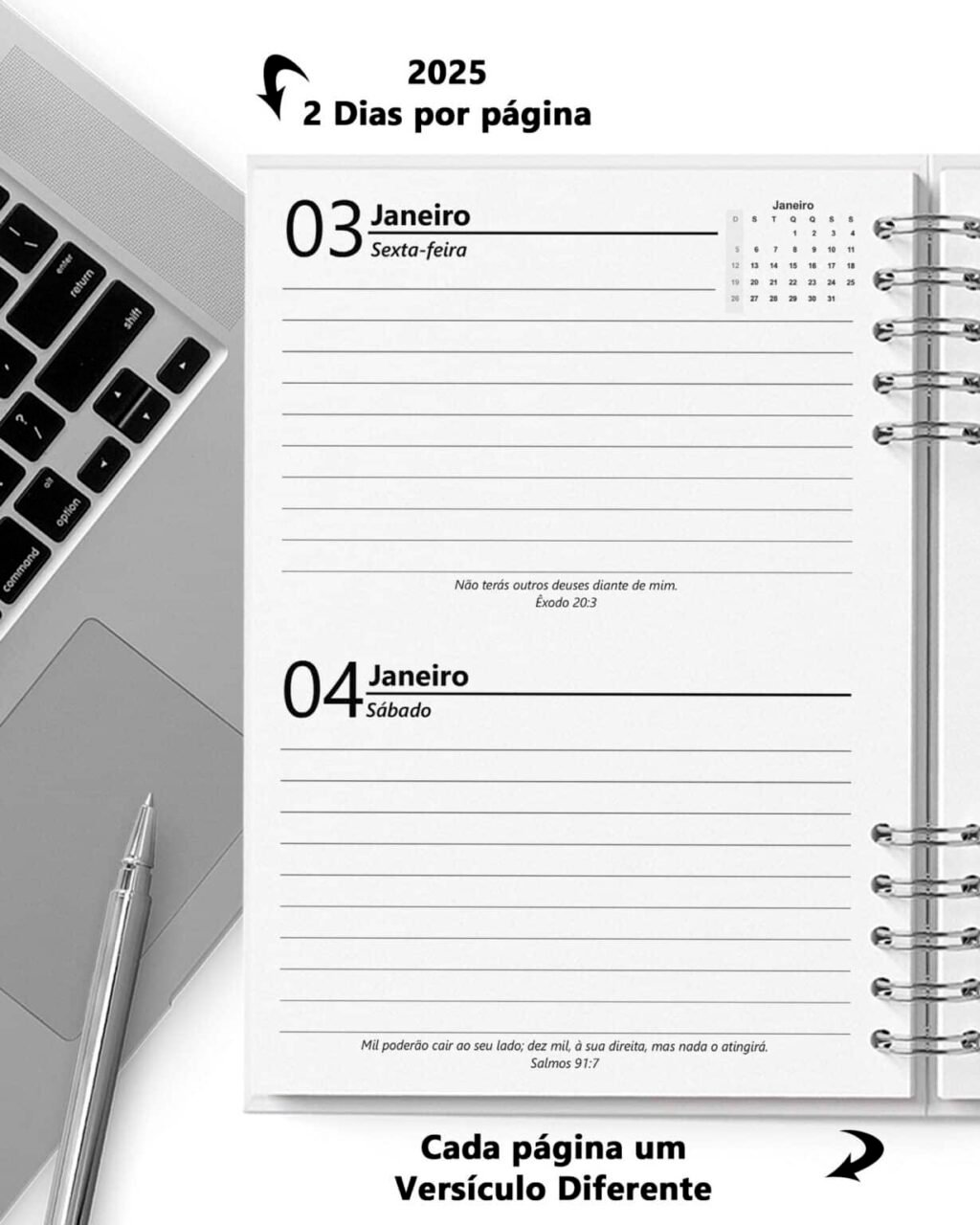 Super COMBO 10 Agendas 2025 e Permanente Masculina com 5 Modelos de Capa (Bicho Papel) - Imagem 13