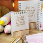 Kit Professores 2024 (Estudio G19) - Imagem 2