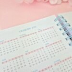 Agenda Dupla Wire- Invertido + Aulas (Atelie da Criativa) - Imagem 5