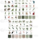 Animais Amazônia - Kit Digital - Imagem 2