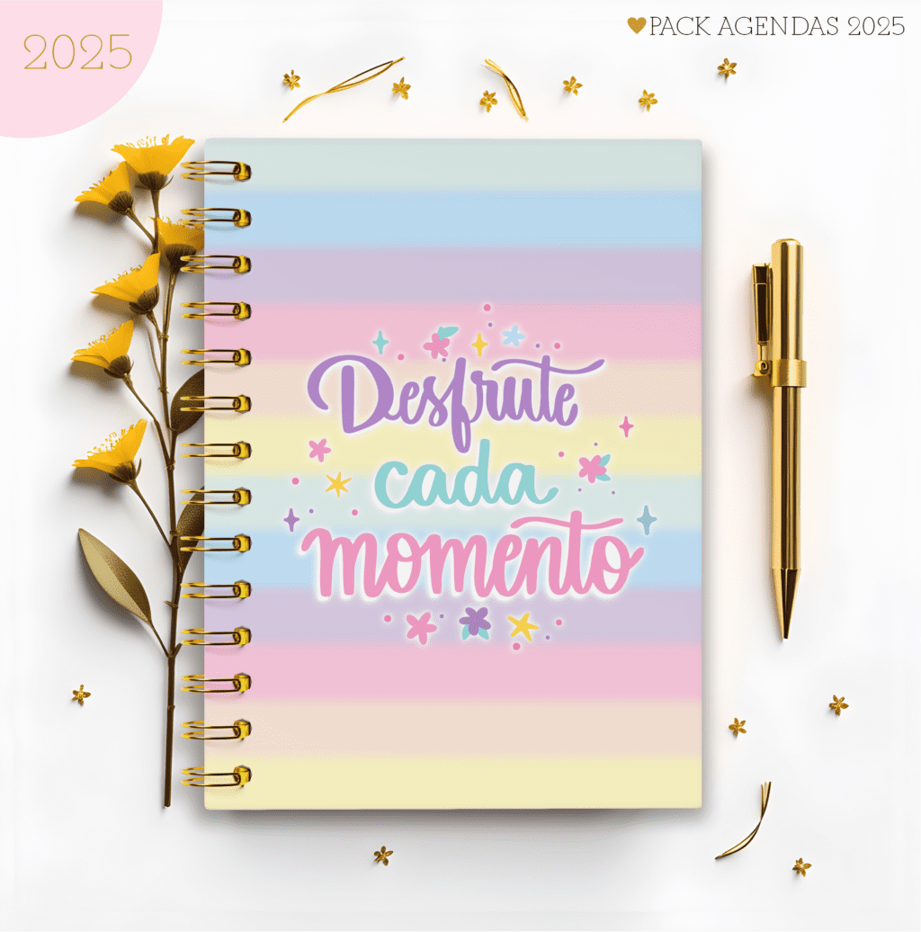 Agendas Feminina 2025 (Lina Criativa) - Imagem 17