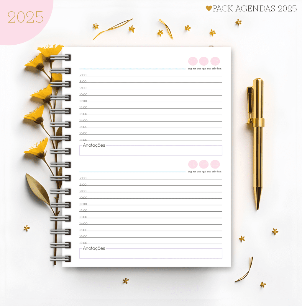 Agendas Feminina 2025 (Lina Criativa) - Imagem 11