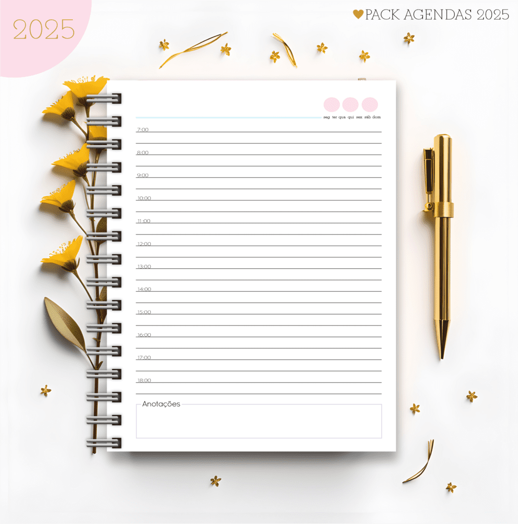 Agendas Feminina 2025 (Lina Criativa) - Imagem 8