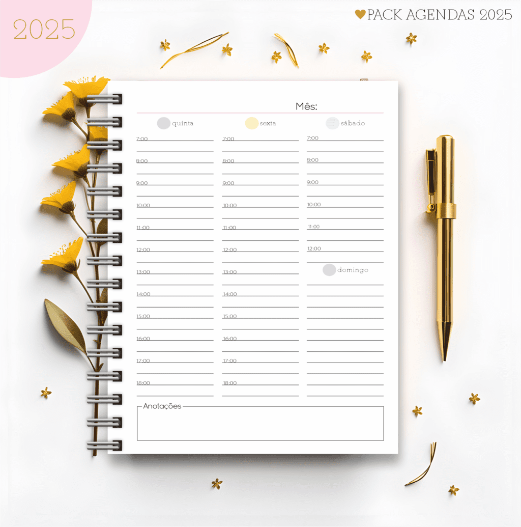 Agendas Feminina 2025 (Lina Criativa) - Imagem 6