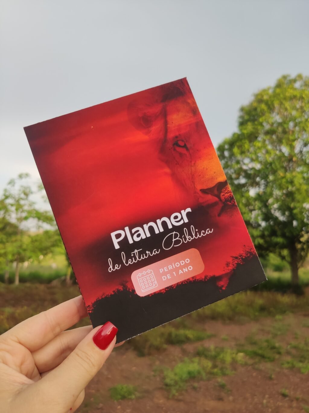 Planner Leitura da Bíblica - Imagem 3