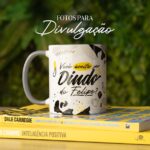 Coleção - Dindos (Avião sem Asa) - Imagem 5