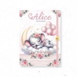 Elefantinha - Coletiva 7