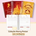 Coleção Harry Potter vol.1 - Grifinória (BM Arquivos)