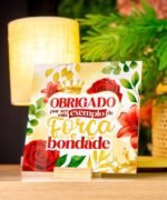 Coleção - Dia das Mães 2025 (Avião sem Asa) - Imagem 3