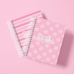 Planner Financeiro Permanente