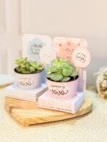 Coletiva Dia dos Avós (Vê Moraes) - Imagem 8