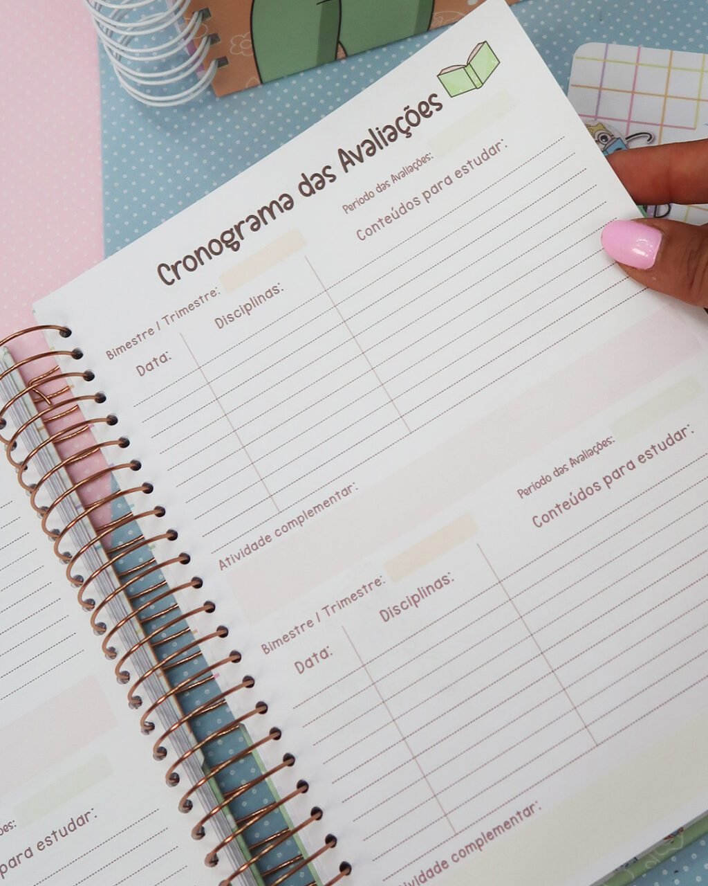 Caderno de Planejamento Colegial – Professores (Mimos Personalizados) - Imagem 12