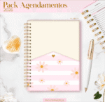 Combo Agendamentos 2026 (Lina) - Imagem 16