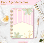 Combo Agendamentos 2026 (Lina) - Imagem 18