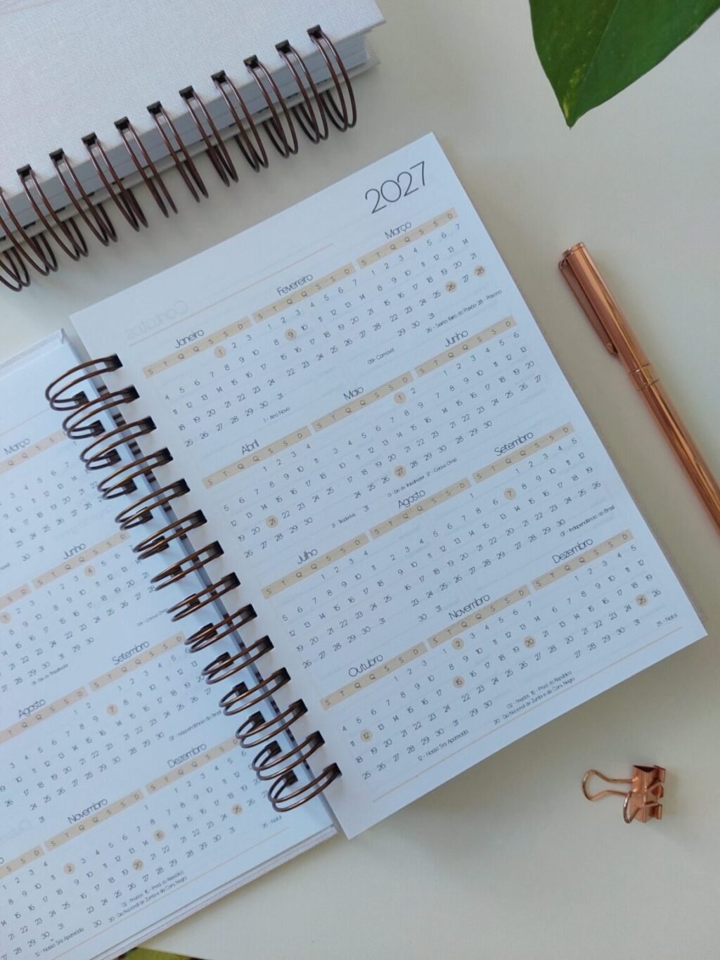 Agenda Jurídica 2026 (Marta Iurkiu) - Imagem 6