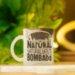 Coleção - Academia (Avião sem Asa) - Imagem 9