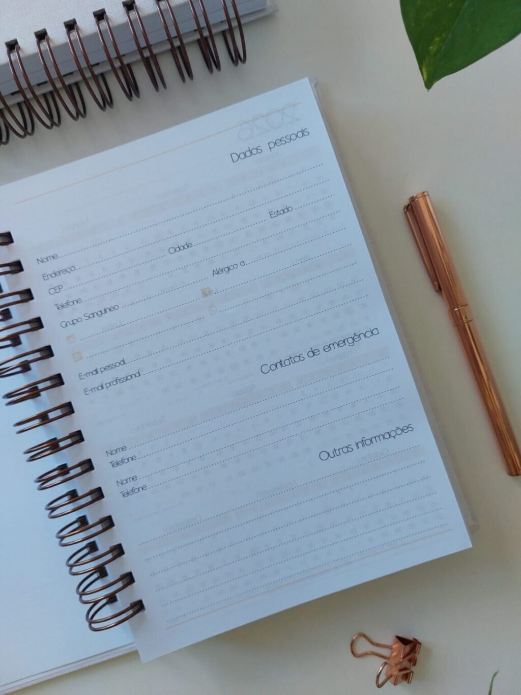 Agenda Jurídica 2026 (Marta Iurkiu) - Imagem 10