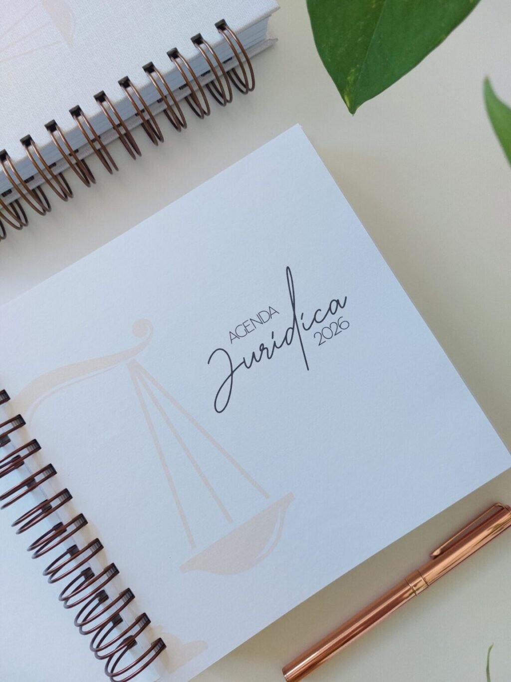 Agenda Jurídica 2026 (Marta Iurkiu) - Imagem 13