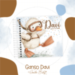 Gansinho Davi - Coletiva 14