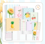 Combo de Cadernos + Bônus