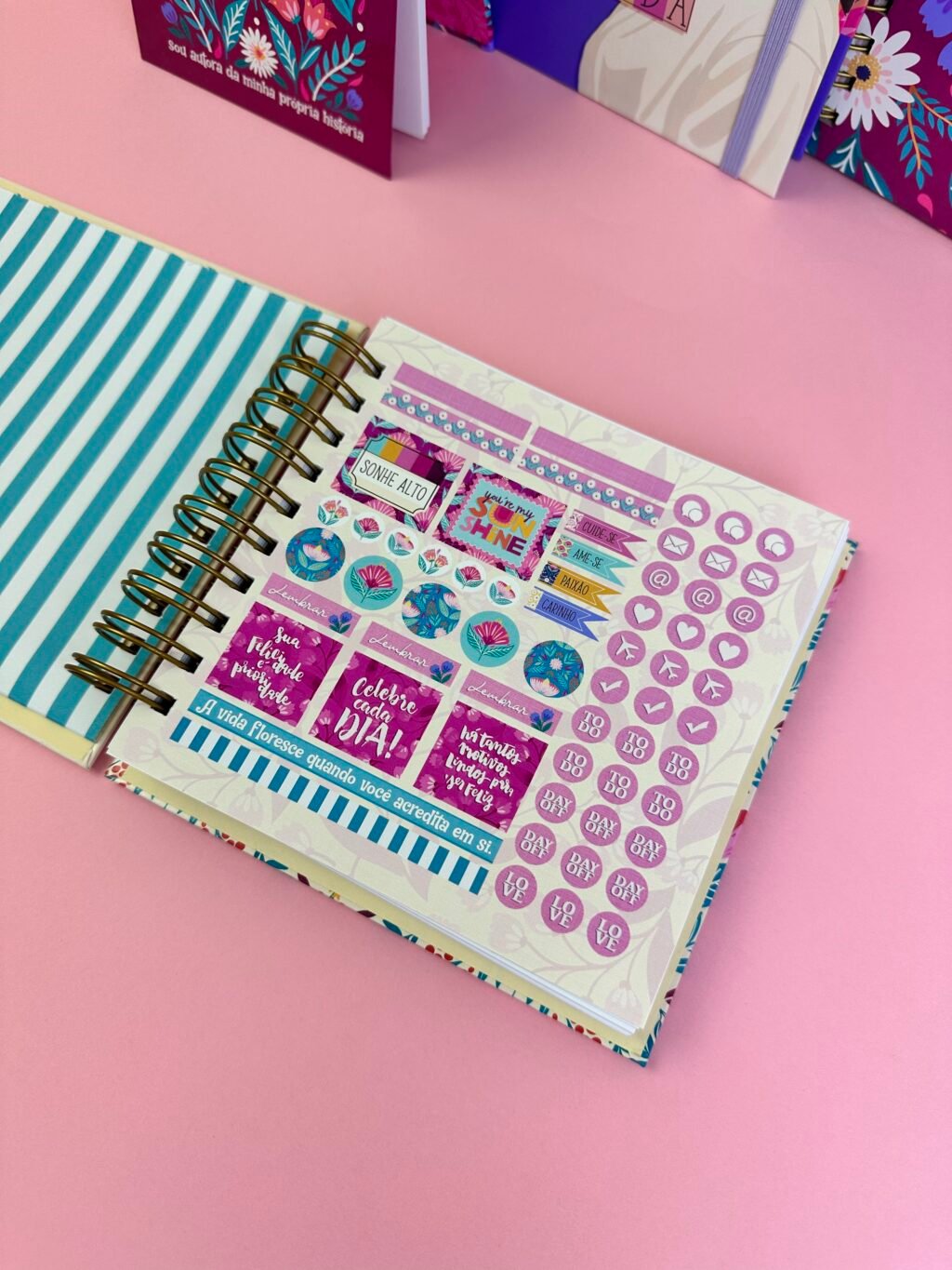 Reflexos - Combo Encadernação 01 - Imagem 30