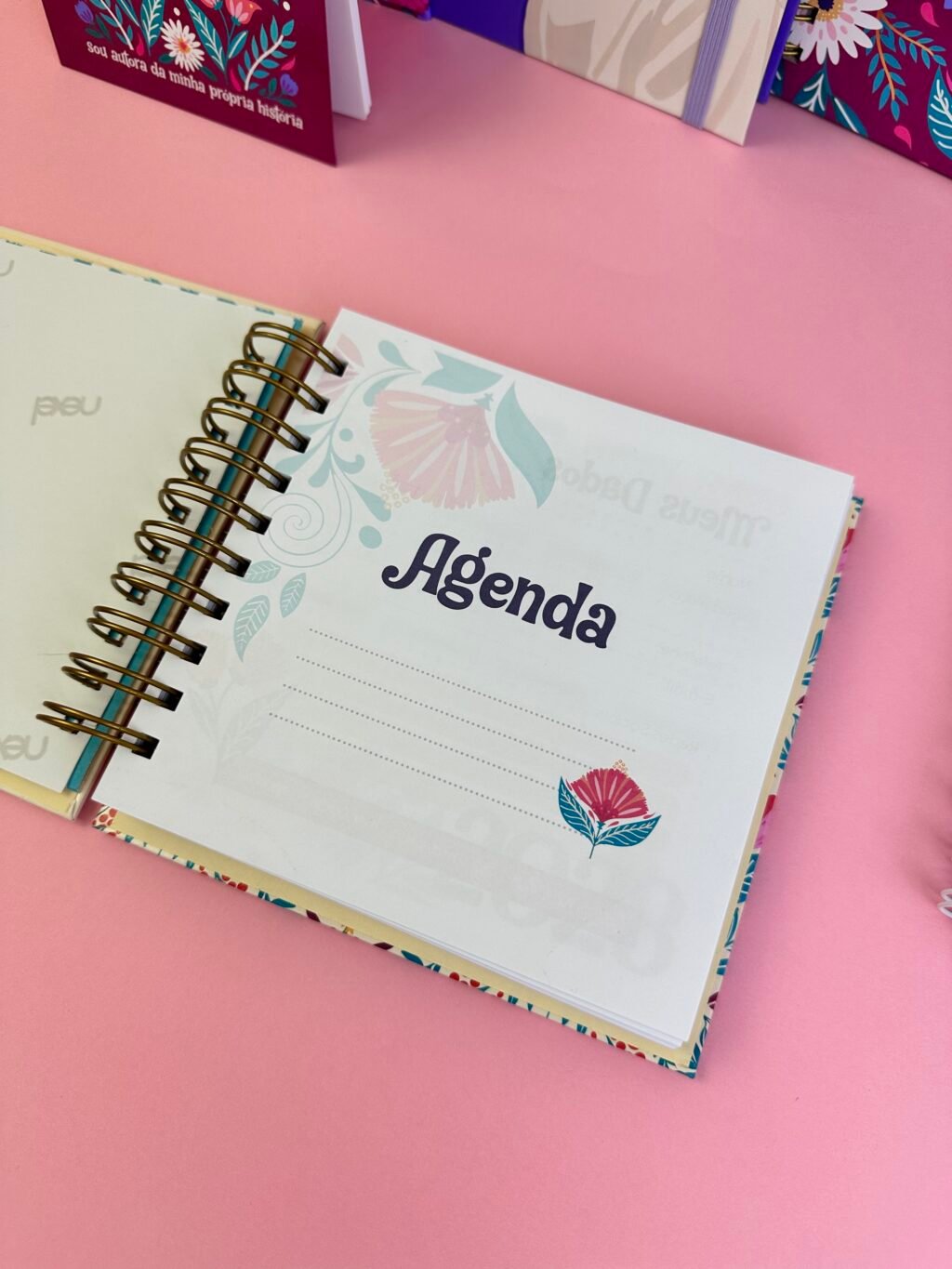 Reflexos - Combo Encadernação 01 - Imagem 29