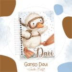 Gansinho Davi - Coletiva 14 - Imagem 2