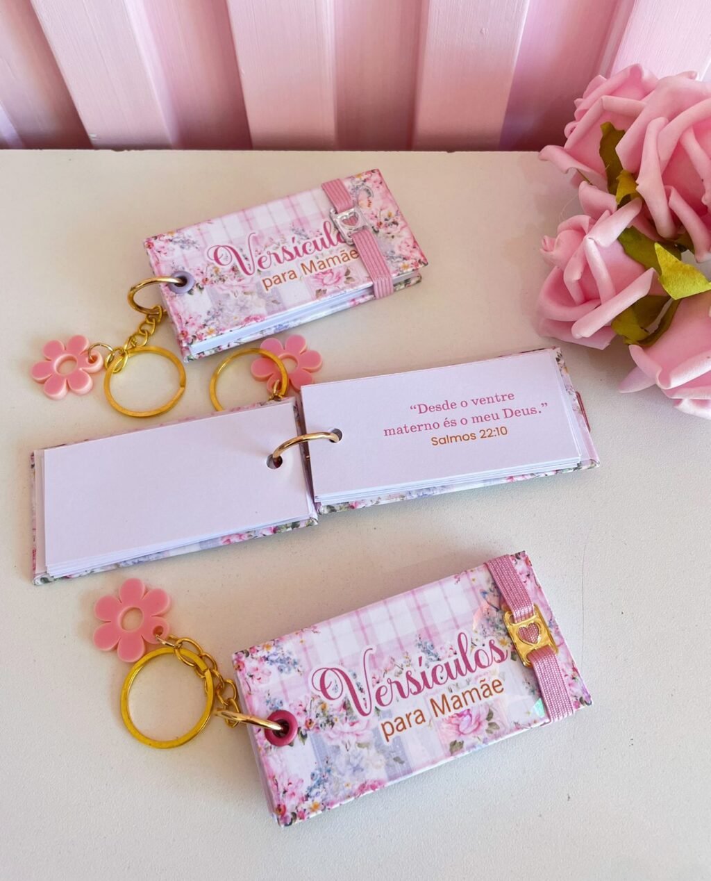 Caderneta da Gestante (Lina) - Imagem 3