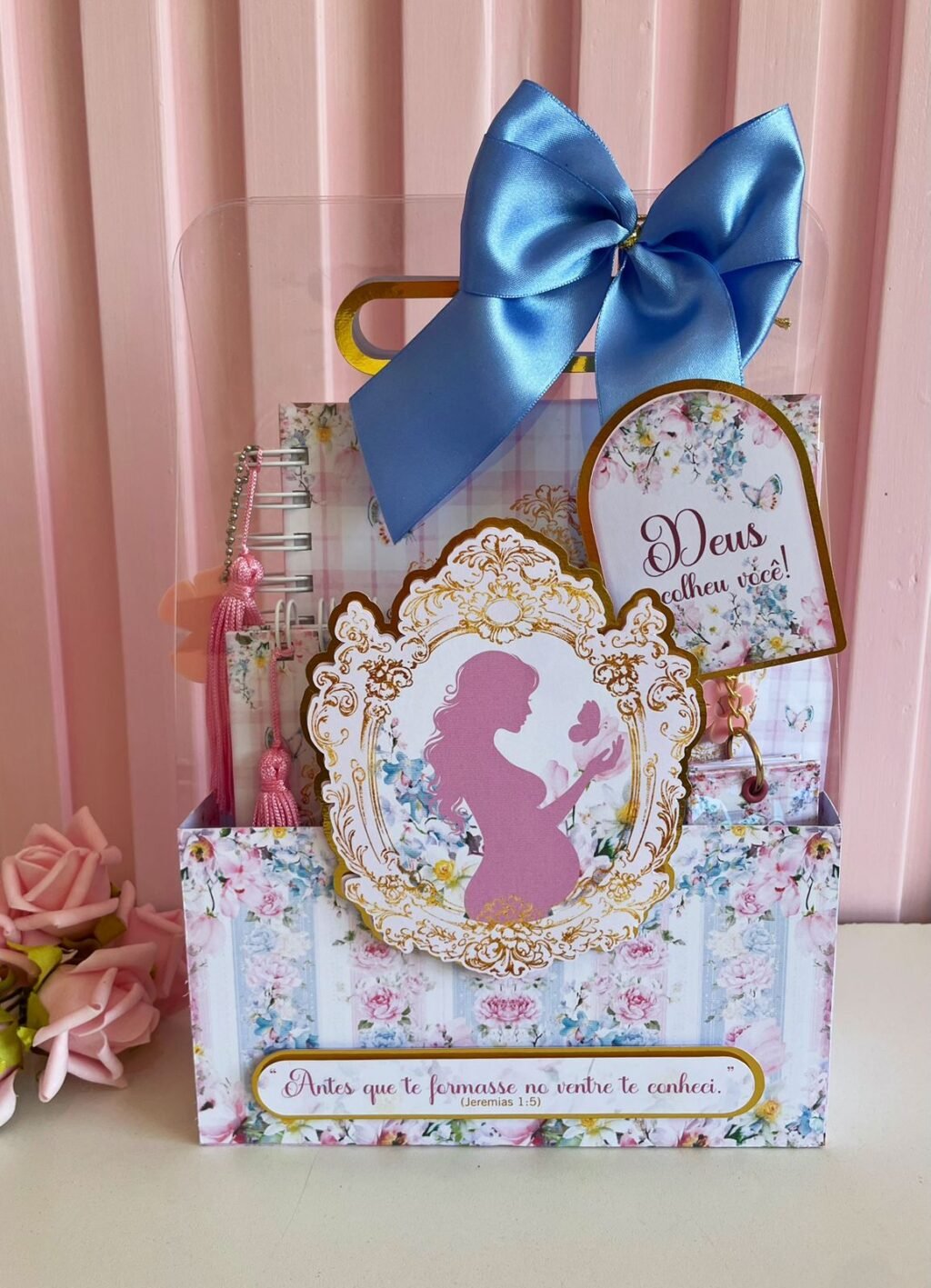 Caderneta da Gestante (Lina) - Imagem 5