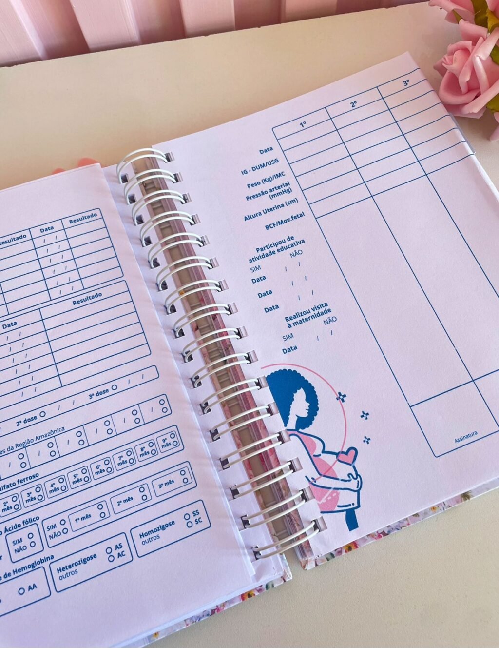 Caderneta da Gestante (Lina) - Imagem 7