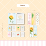 Combo de Cadernos + Bônus - Imagem 11