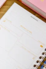 Coleção Encanto - Imagem 25