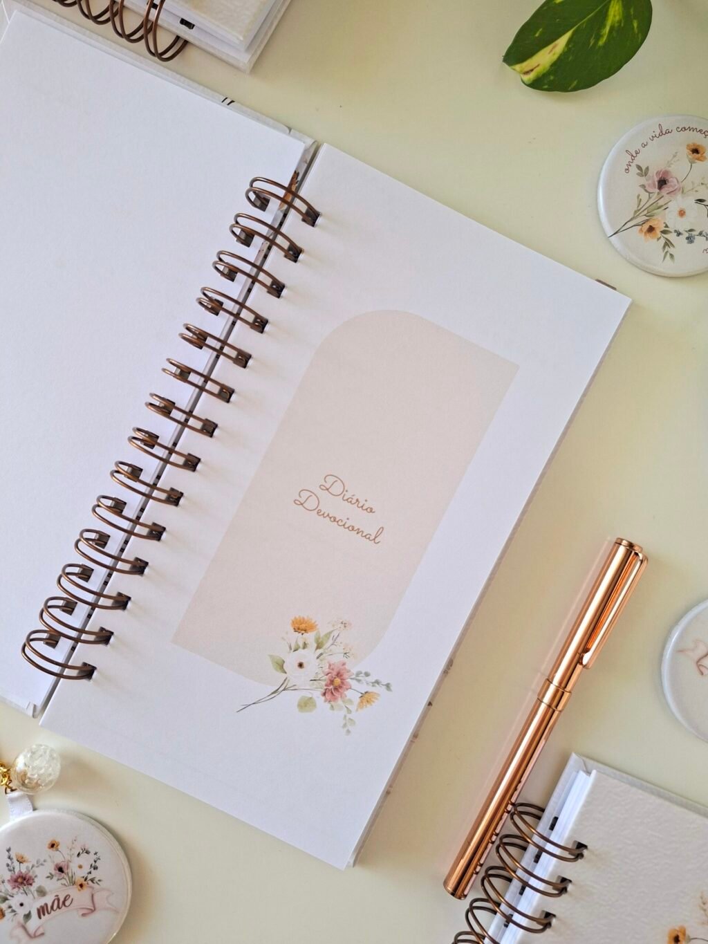 Coleção Dia das Mães 2026 - Imagem 3