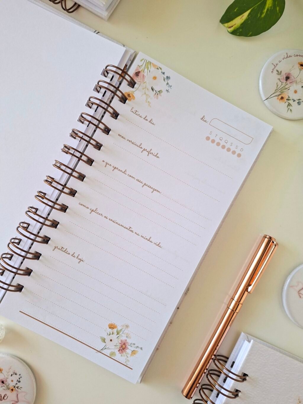 Coleção Dia das Mães 2026 - Imagem 17