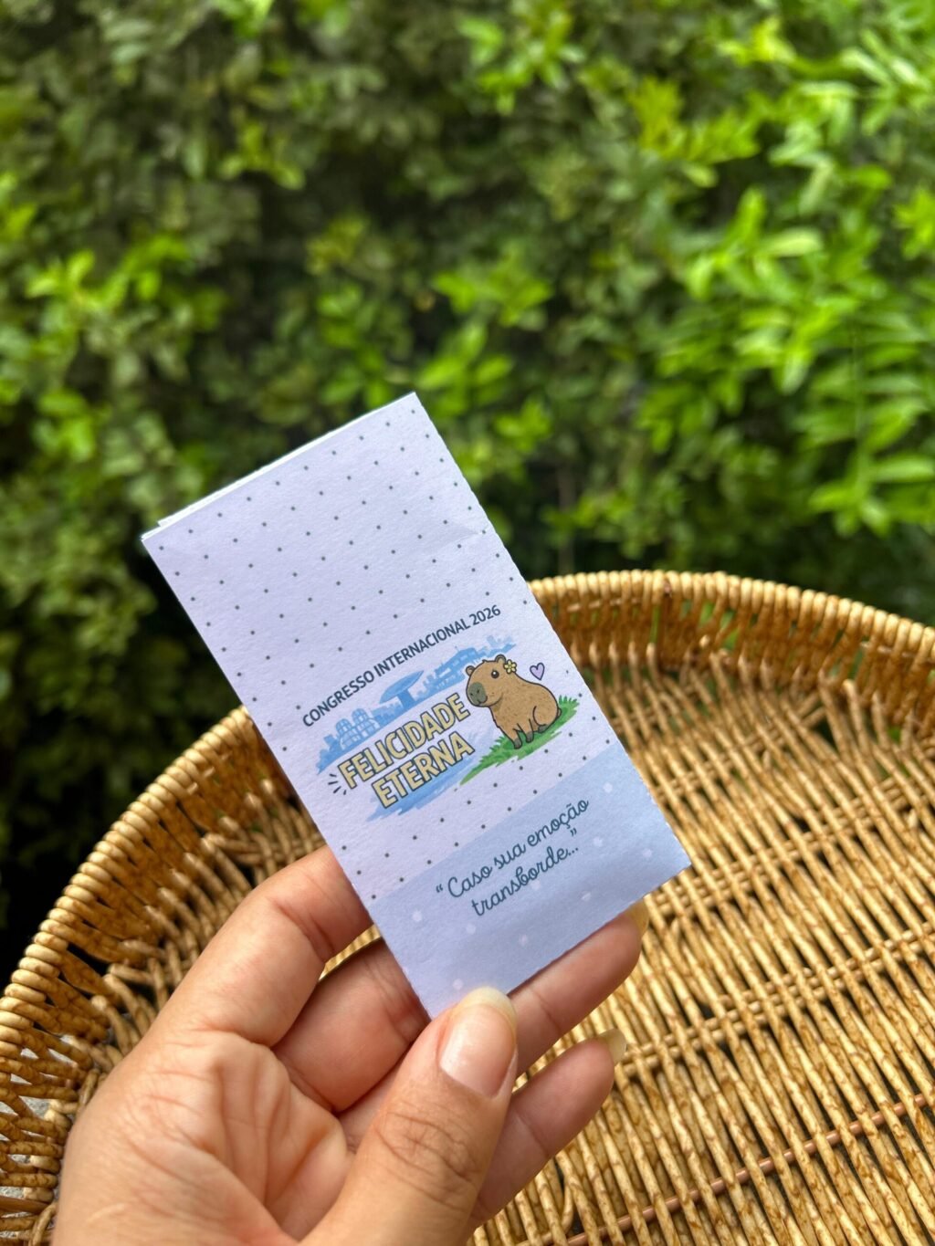 Mimos Congresso Inter - Imagem 11