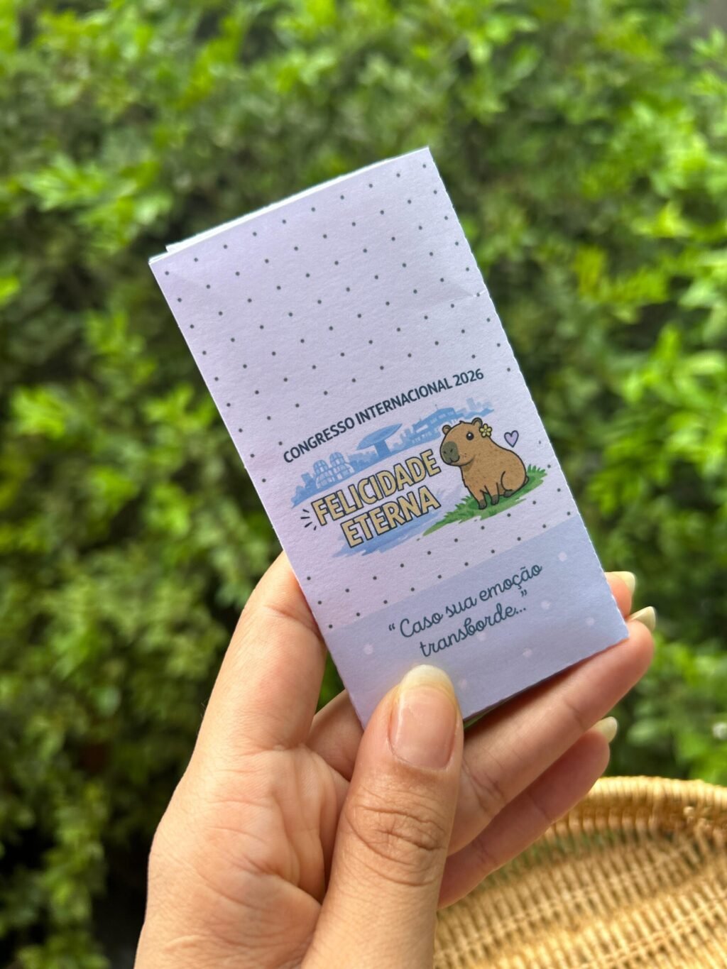 Mimos Congresso Inter - Imagem 9