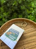 Mimos Congresso Inter - Imagem 3