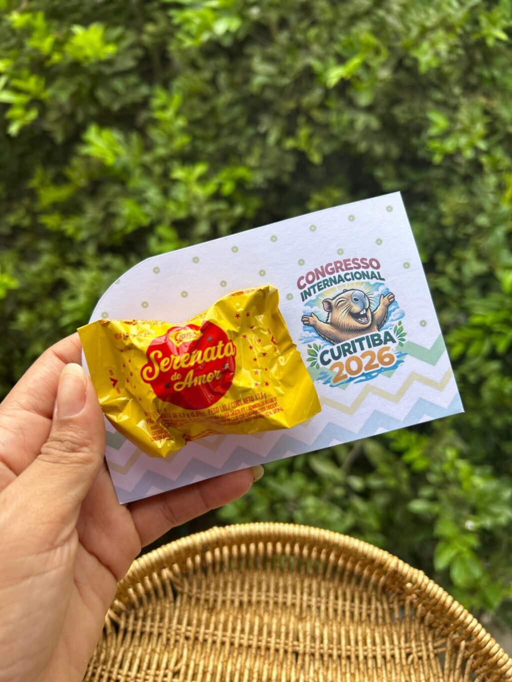 Mimos Congresso Inter - Imagem 6