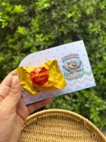 Mimos Congresso Inter - Imagem 6