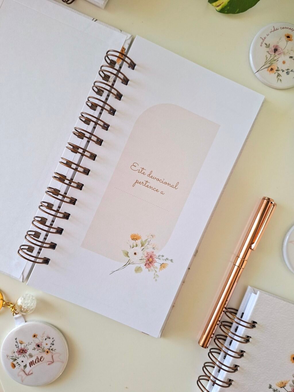 Coleção Dia das Mães 2026 - Imagem 6