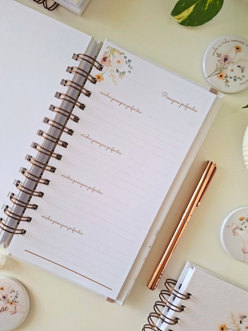 Coleção Dia das Mães 2026 - Imagem 10