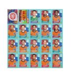 Figurinhas da Copa 2026 +900 Figurinha em PDF - Imagem 4