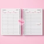Miolo Agenda Rosa Visão Semanal 2027