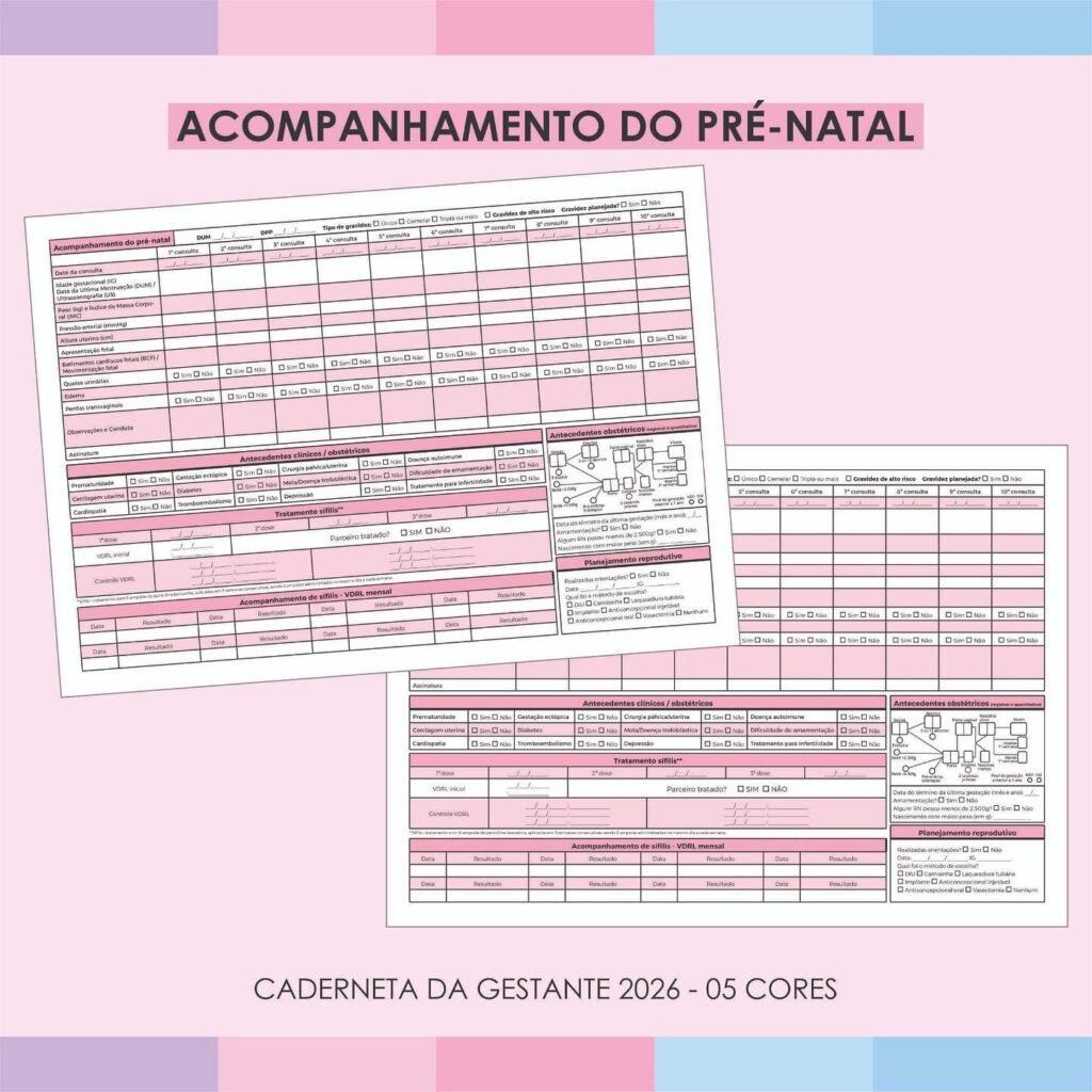 Caderneta da Gestante 2026 Original + 4 cores personalizadas - Imagem 2
