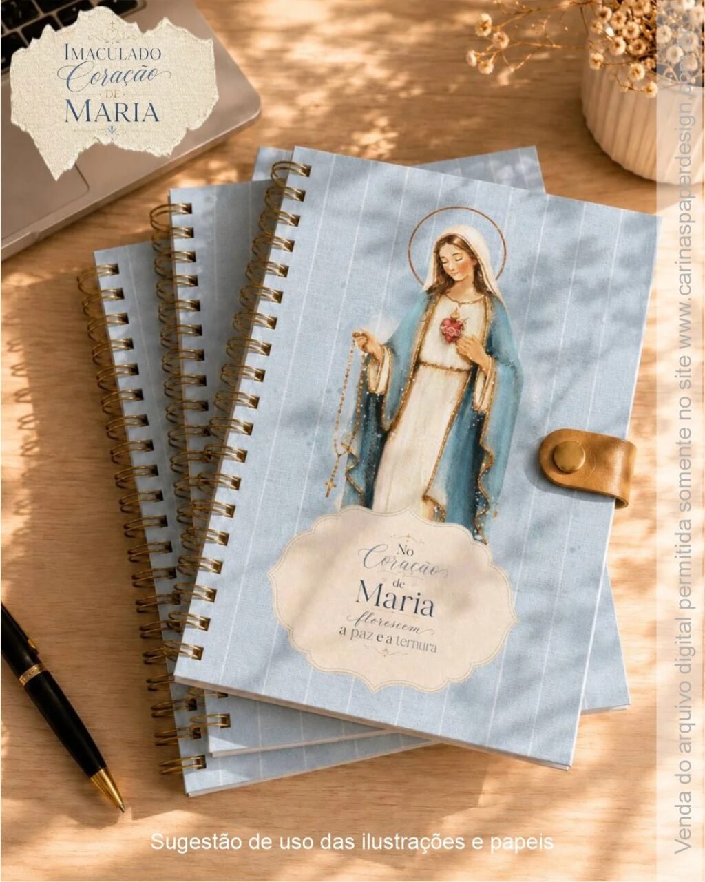 Ilustrações Imaculado Coração de Maria 2 - Imagem 7